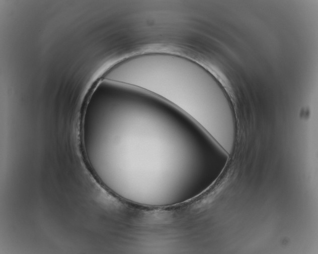 X0000091450992200708161043