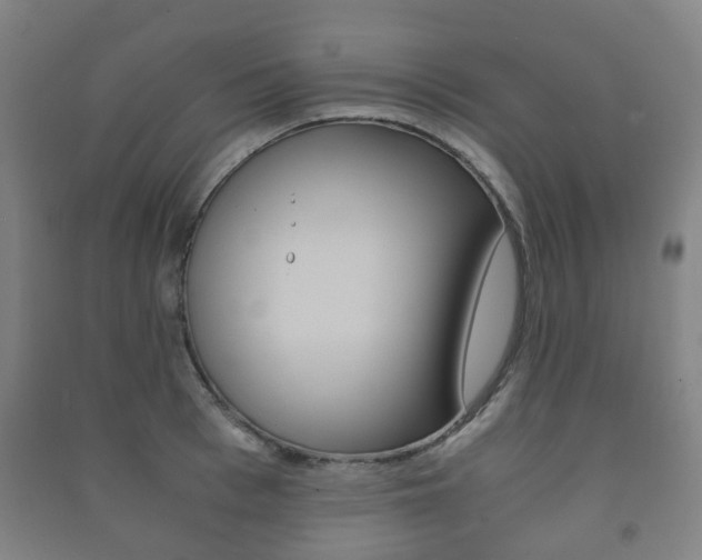 X0000091450993200708161043