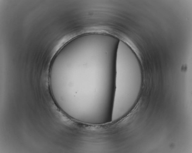 X0000091450994200708161043