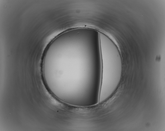 X0000091450995200708161043