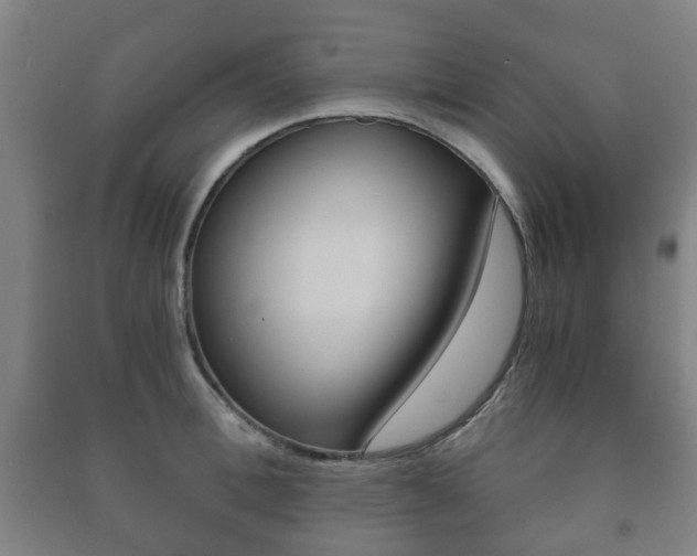 X0000091450996200708161043