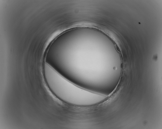 X0000091450997200708161043