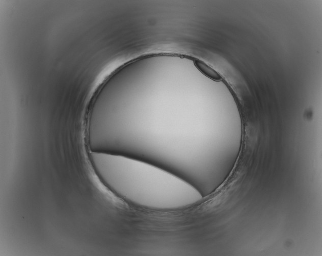 X0000091450998200708161043