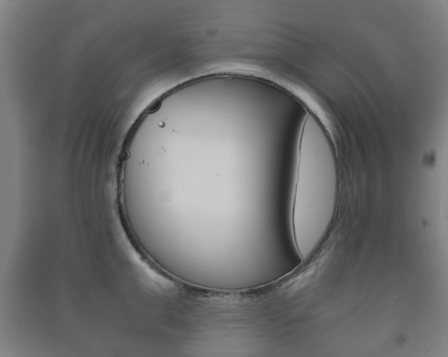 X0000091450999200708161043
