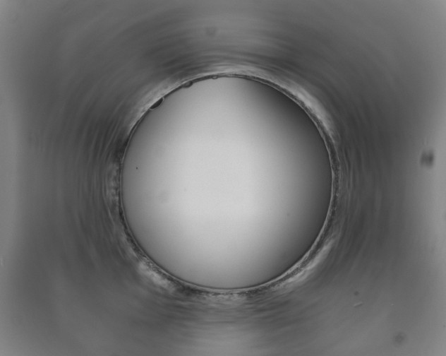 X0000091451001200708161043