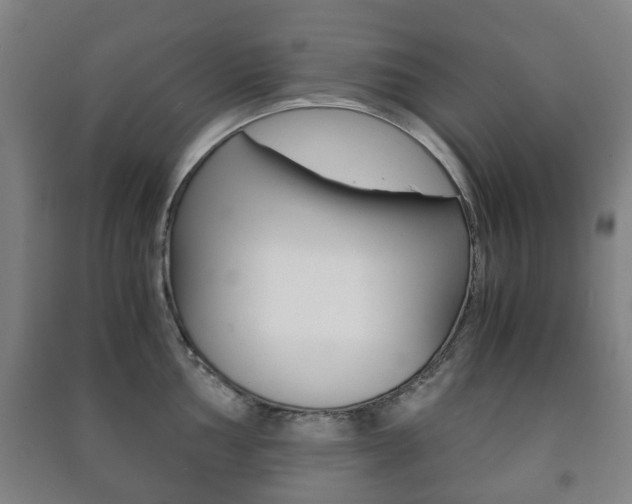 X0000091451002200708161043