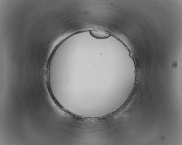 X0000091451003200708161043