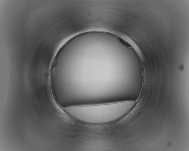 X0000091451004200708161043