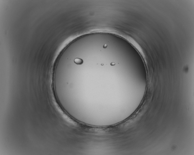 X0000091451005200708161043