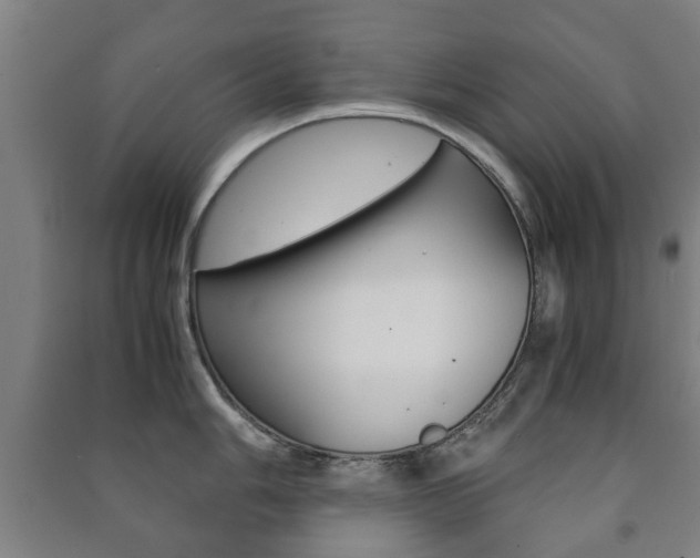 X0000091451006200708161043