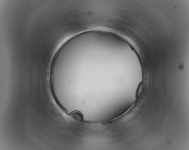 X0000091451007200708161043