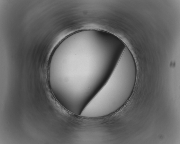 X0000091451008200708161043