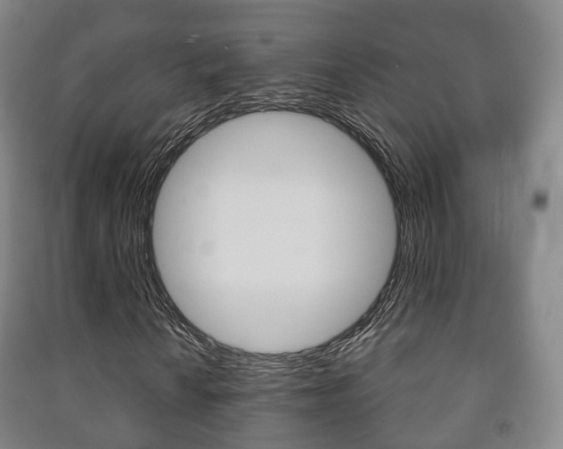 X0000091451010200708161043