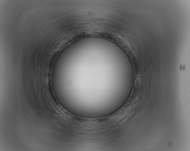 X0000091451012200708161043