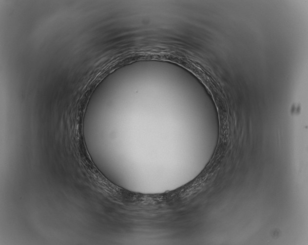 X0000091451013200708161043