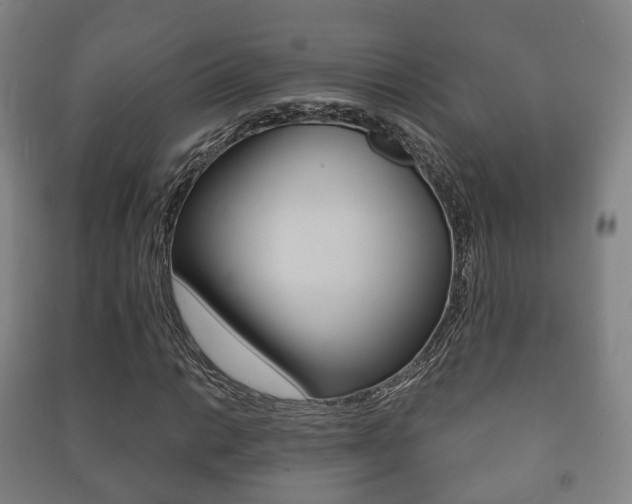 X0000091451014200708161043
