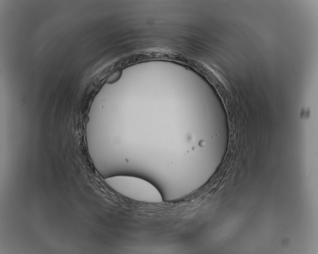X0000091451015200708161043