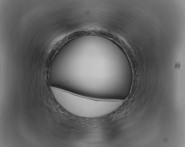 X0000091451016200708161043