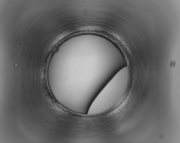 X0000091451017200708161043