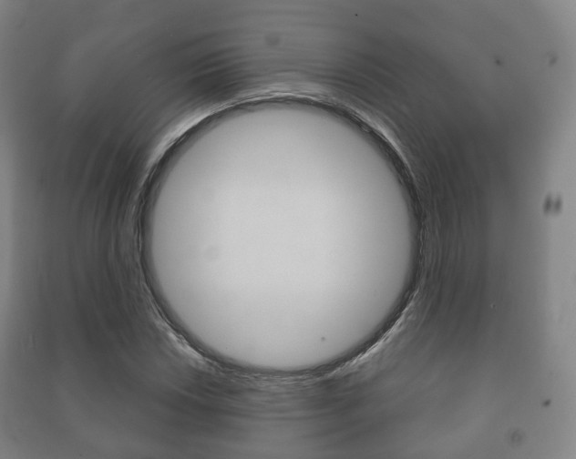 X0000091451018200708161043