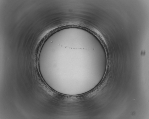 X0000091451019200708161043