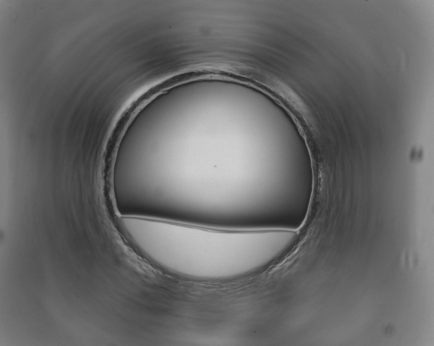 X0000091451020200708161043