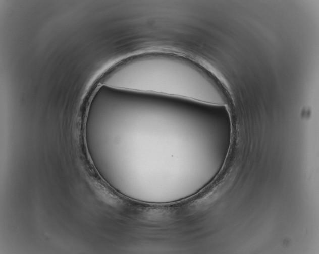 X0000091451021200708161043