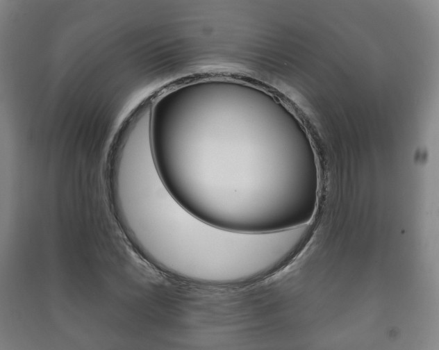 X0000091451022200708161043
