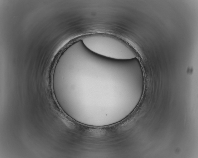 X0000091451023200708161043