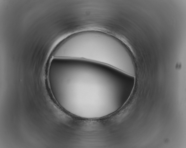 X0000091451024200708161043