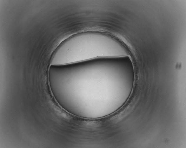 X0000091451025200708161043