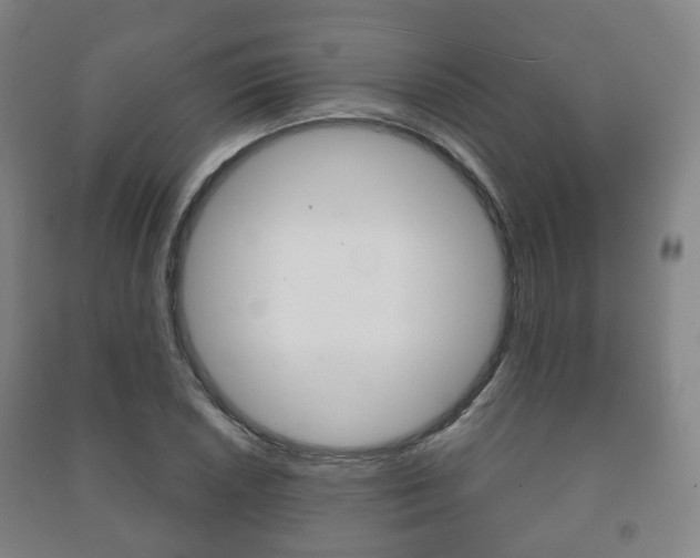 X0000091451026200708161043