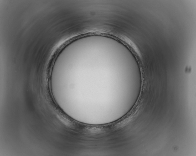 X0000091451027200708161043
