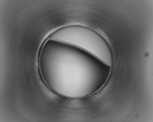 X0000091451028200708161043