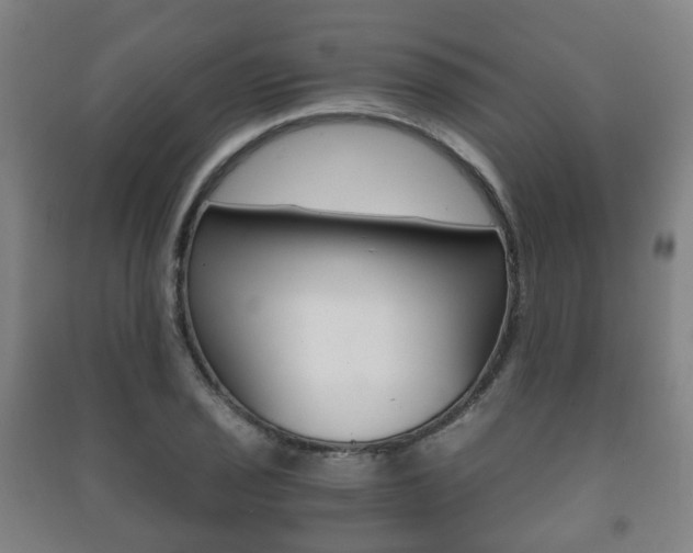 X0000091451029200708161043