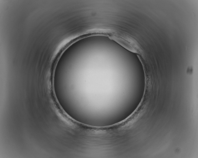 X0000091451030200708161043