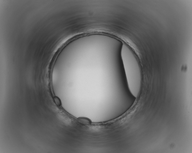 X0000091451031200708161043