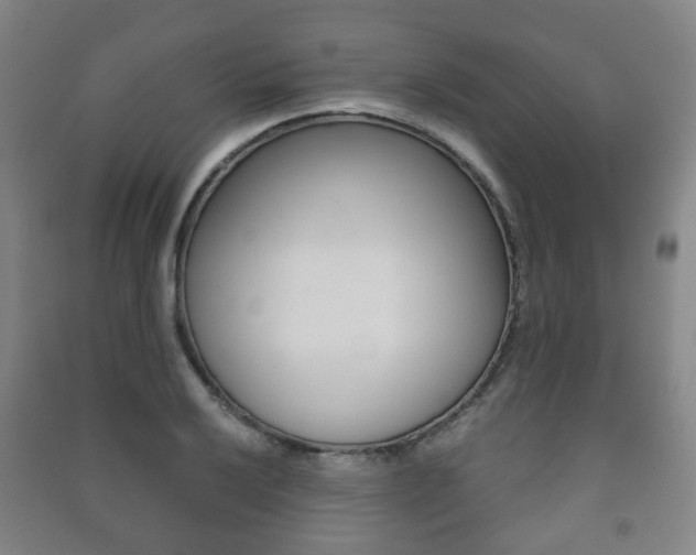 X0000091451032200708161043