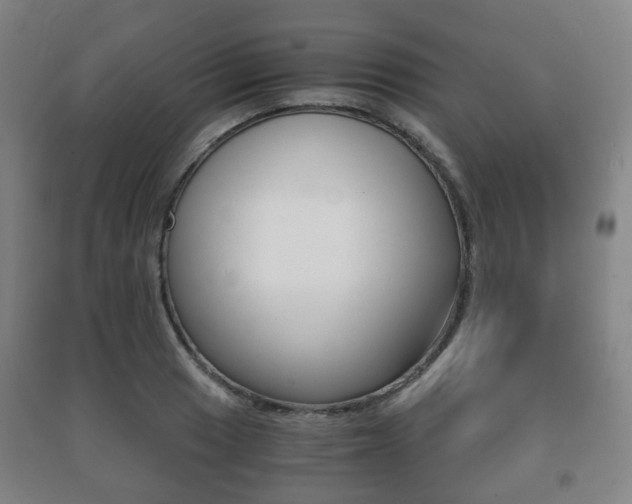 X0000091451033200708161043