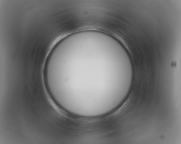 X0000091451034200708161043
