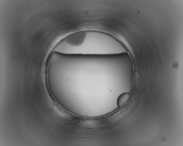 X0000091451035200708161043