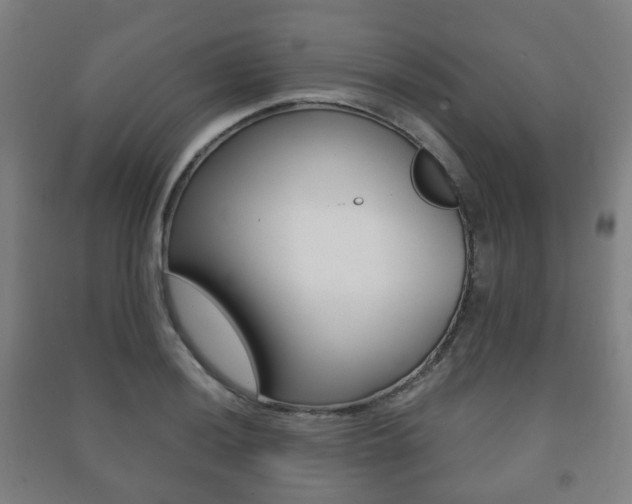 X0000091451036200708161043