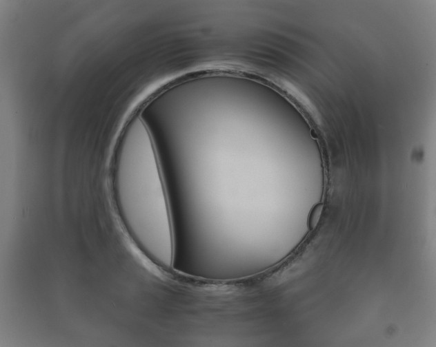 X0000091451037200708161043
