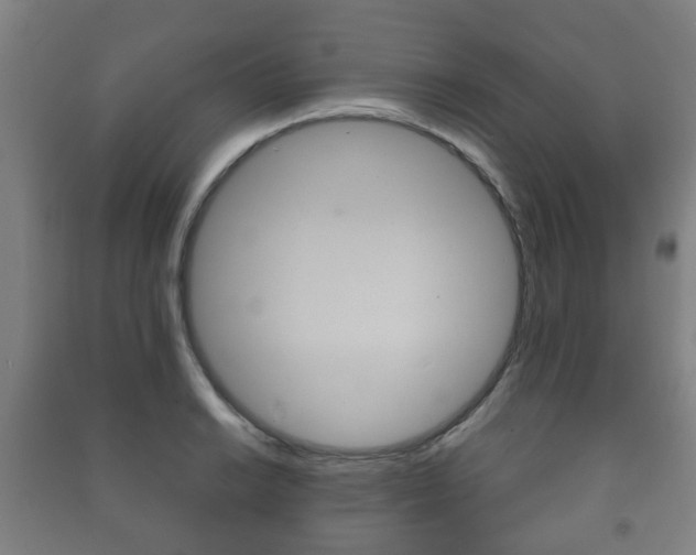 X0000091451038200708161043