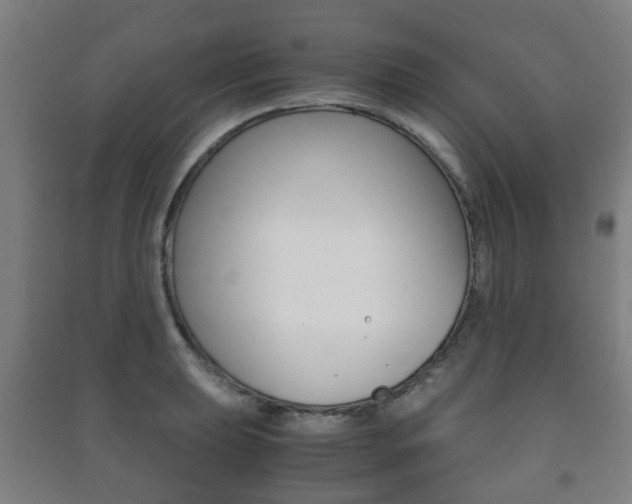 X0000091451039200708161043