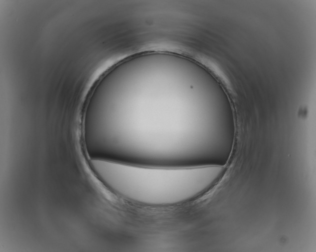 X0000091451040200708161043