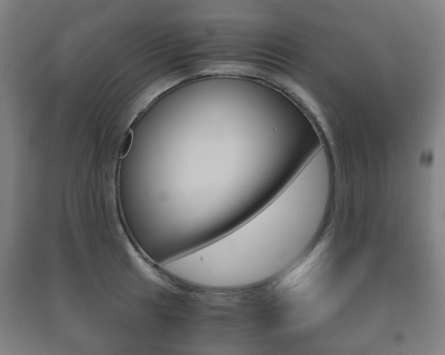 X0000091451041200708161043