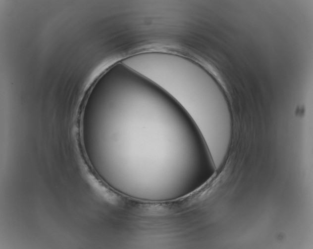 X0000091451042200708161043