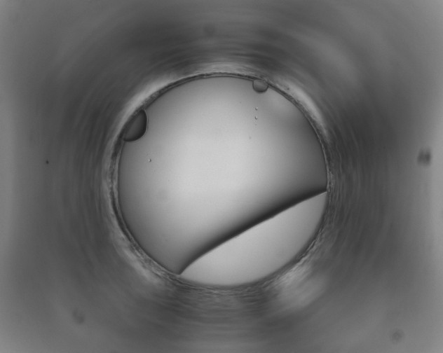 X0000091451043200708161043