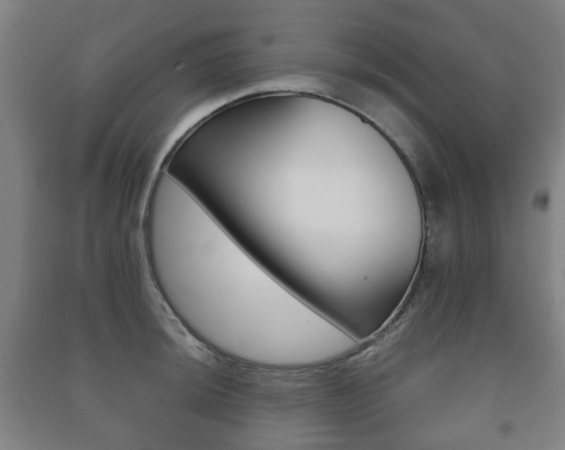 X0000091451044200708161043